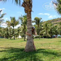 фото из отзыва ID 1412609