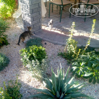 фото из отзыва ID 1412665