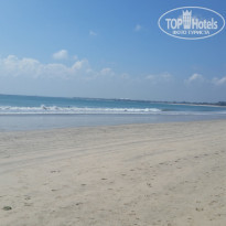 фото из отзыва ID 1412694