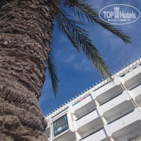 фото из отзыва ID 1412927