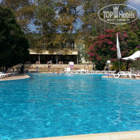 фото из отзыва ID 1412987