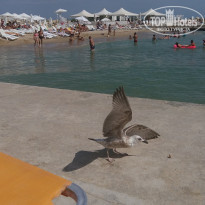 фото из отзыва ID 1412987