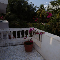 фото из отзыва ID 1413071