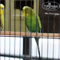 фото из отзыва ID 1413302