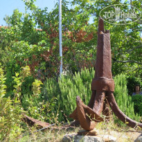 фото из отзыва ID 1413395