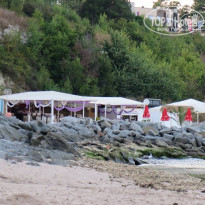 фото из отзыва ID 1413395