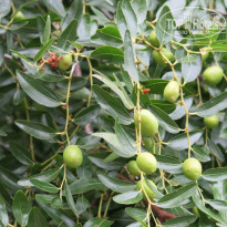 фото из отзыва ID 1413395