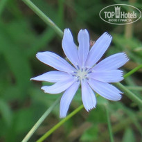 фото из отзыва ID 1413395