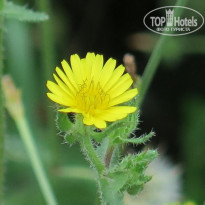 фото из отзыва ID 1413395