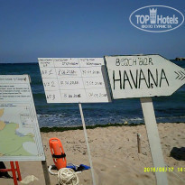 фото из отзыва ID 1413395