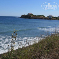 фото из отзыва ID 1413395