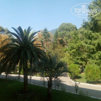 фото из отзыва ID 1413450