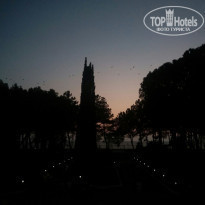 фото из отзыва ID 1413450