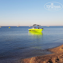 фото из отзыва ID 1413508