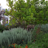 фото из отзыва ID 1413508