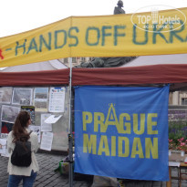 фото из отзыва ID 1413523