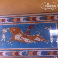 фото из отзыва ID 1413779