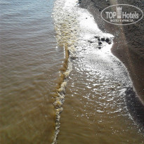 фото из отзыва ID 1413696