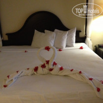 фото из отзыва ID 1413908