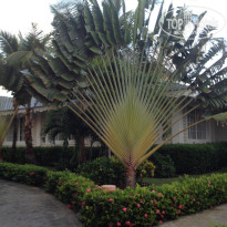 фото из отзыва ID 1413908