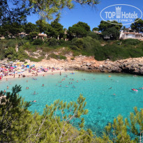 фото из отзыва ID 1414006