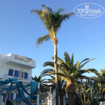 фото из отзыва ID 1414092