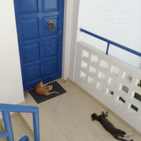 фото из отзыва ID 1414092