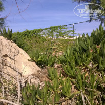 фото из отзыва ID 1414177