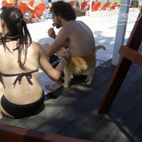 фото из отзыва ID 1414220