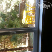 фото из отзыва ID 1414265