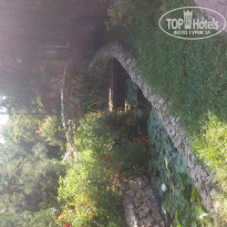 фото из отзыва ID 1414265