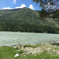 фото из отзыва ID 1414324