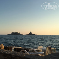 фото из отзыва ID 1414417