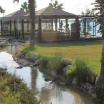 фото из отзыва ID 1414664