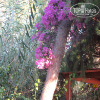 фото из отзыва ID 1414696