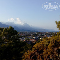 фото из отзыва ID 1414703