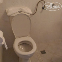 фото из отзыва ID 1414720