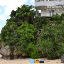 фото из отзыва ID 1414757