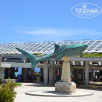 фото из отзыва ID 1414757