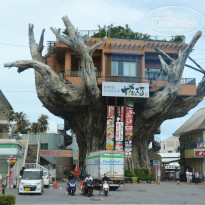 фото из отзыва ID 1414757