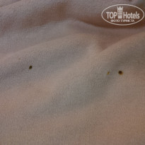 фото из отзыва ID 1414800