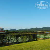 фото из отзыва ID 1414804