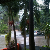 фото из отзыва ID 1414893