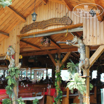 фото из отзыва ID 1415050