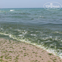 фото из отзыва ID 1415050