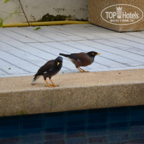 фото из отзыва ID 1415116