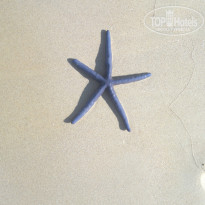 фото из отзыва ID 1415116