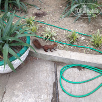 фото из отзыва ID 1415120