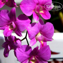 фото из отзыва ID 1415256