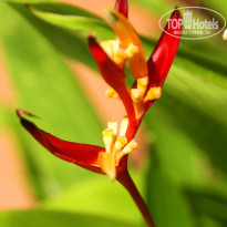 фото из отзыва ID 1415256